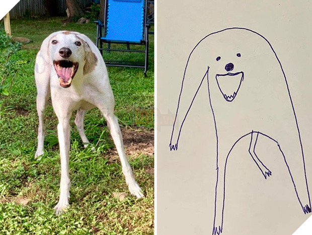 Photo of Bức tranh “cún ngáo” bất ngờ đánh bại mọi đối thủ nặng kí, giật giải quán quân trong cuộc thi vẽ chó
