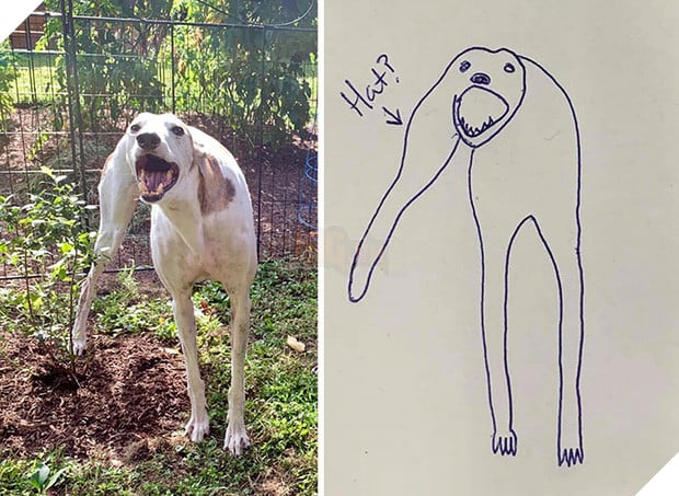 Bức tranh cún ngáo bất ngờ đánh bại mọi đối thủ nặng kí, giật giải quán quân trong cuộc thi vẽ chó - Ảnh 3.