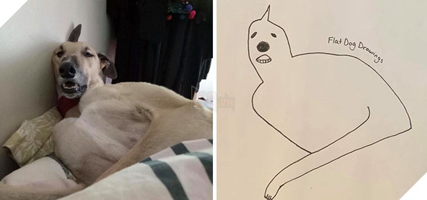 Bức tranh cún ngáo bất ngờ đánh bại mọi đối thủ nặng kí, giật giải quán quân trong cuộc thi vẽ chó - Ảnh 6.
