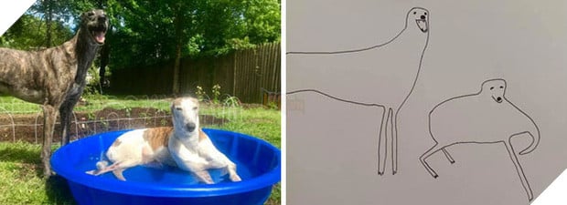 Bức tranh cún ngáo bất ngờ đánh bại mọi đối thủ nặng kí, giật giải quán quân trong cuộc thi vẽ chó - Ảnh 7.