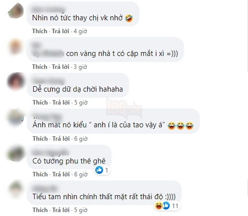  
Bình luận của cư dân mạng. (Ảnh chụp màn hình)