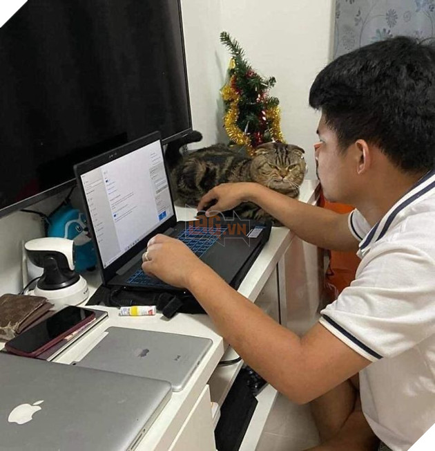  
"Chị nhìn đi, giờ thì ai là người được anh ấy yêu hơn?" (Ảnh: Nasrin Hami)