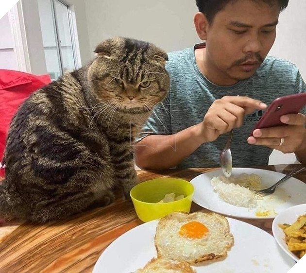 "Chị tránh ra, anh ấy là của tôi". (Ảnh: Nasrin Hami)