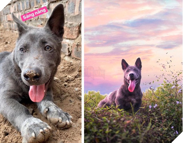 Idol Nguyễn Văn Dúi gây sốc với ngoại hình già nua, béo phệ và lại còn bị xích cổ đáng thương? - Ảnh 3.