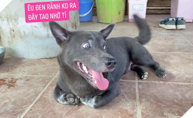 Idol Nguyễn Văn Dúi gây sốc với ngoại hình già nua, béo phệ và lại còn bị xích cổ đáng thương? - Ảnh 6.