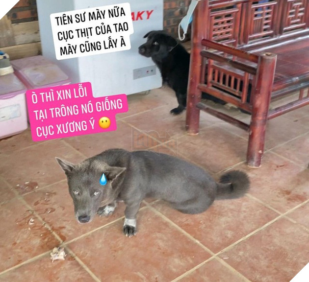 Idol Nguyễn Văn Dúi gây sốc với ngoại hình già nua, béo phệ và lại còn bị xích cổ đáng thương? - Ảnh 7.