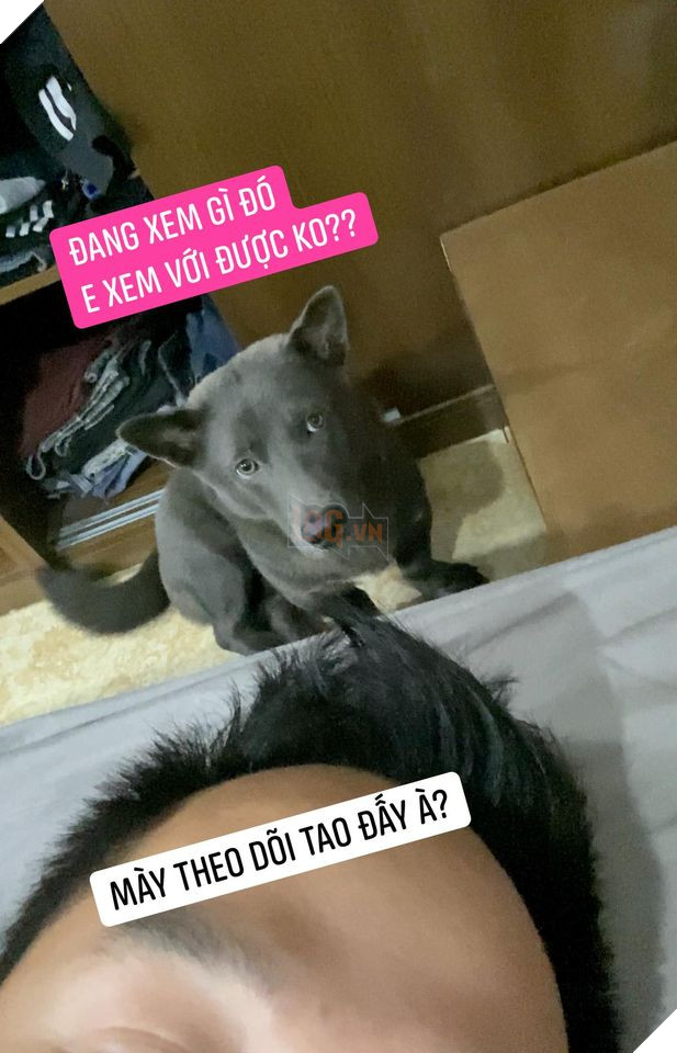 Idol Nguyễn Văn Dúi gây sốc với ngoại hình già nua, béo phệ và lại còn bị xích cổ đáng thương? - Ảnh 9.