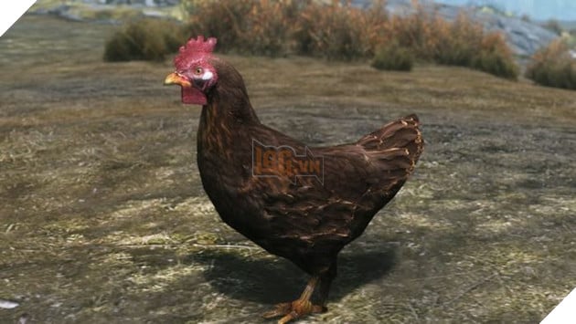 Có thể bạn chưa biết: Lũ gà trong Modern Warfare còn xịn sò hơn cả CS:GO 3