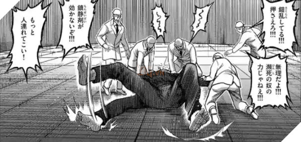 Spoiler Kengan Omega chap 81: Chân Rết lộ diện, Naidan Monkhbat đối đầu Gaoh Ryuki!