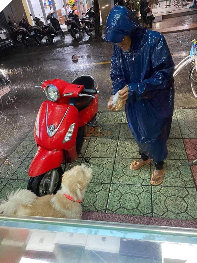 Cụ ông thường ghé nhà người lạ chỉ để tâm sự cùng chú chó 2