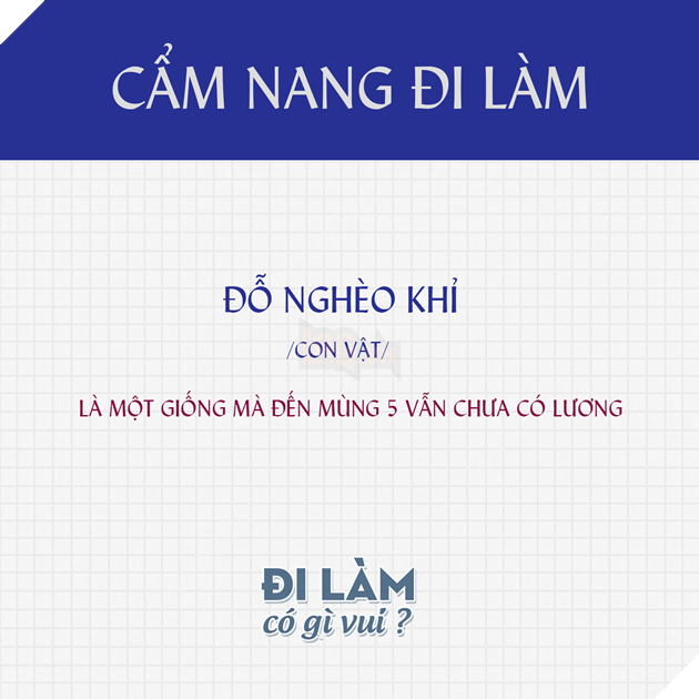 Tìm hiểu về Đỗ nghèo khỉ - Thuận ngữ châm biếm hài hước và nổi tiếng nhất nhì trên MXH 4