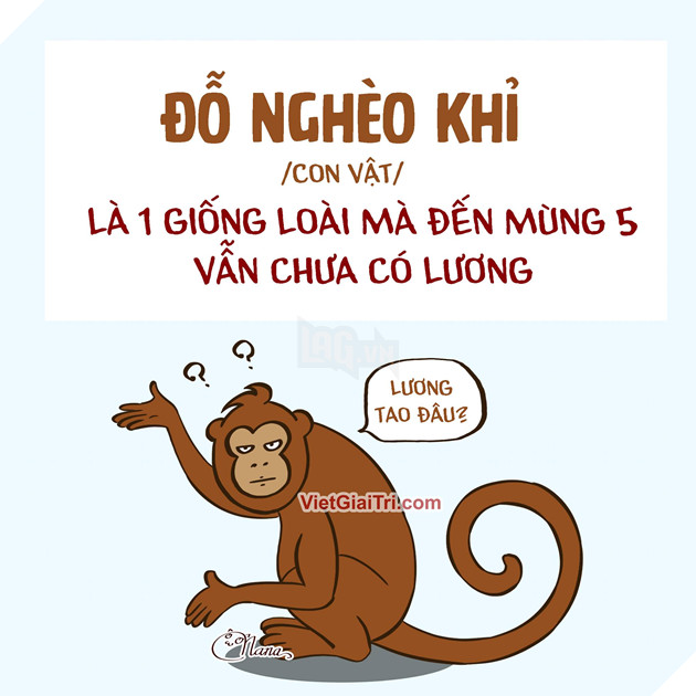 Tìm hiểu về Đỗ nghèo khỉ - Thuận ngữ châm biếm hài hước và nổi tiếng ...