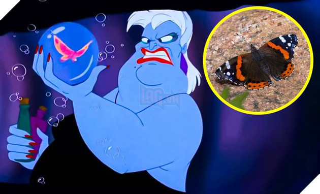 Những chi tiết độc đáo ít người nhận ra trong các phim hoạt hình Disney 3