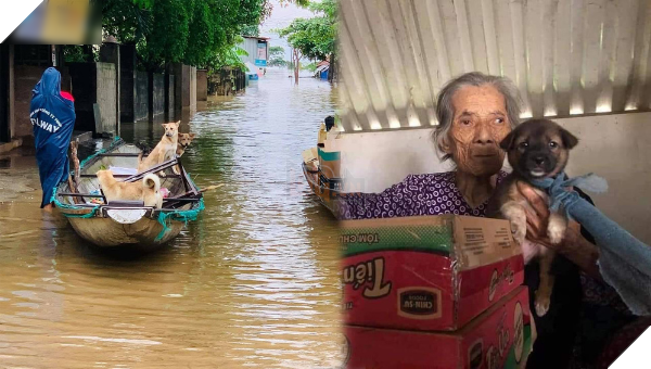  
Hình ảnh gây xúc động cư dân mạng. (Ảnh: Cộng đồng Yêu động vật Quảng Bình)