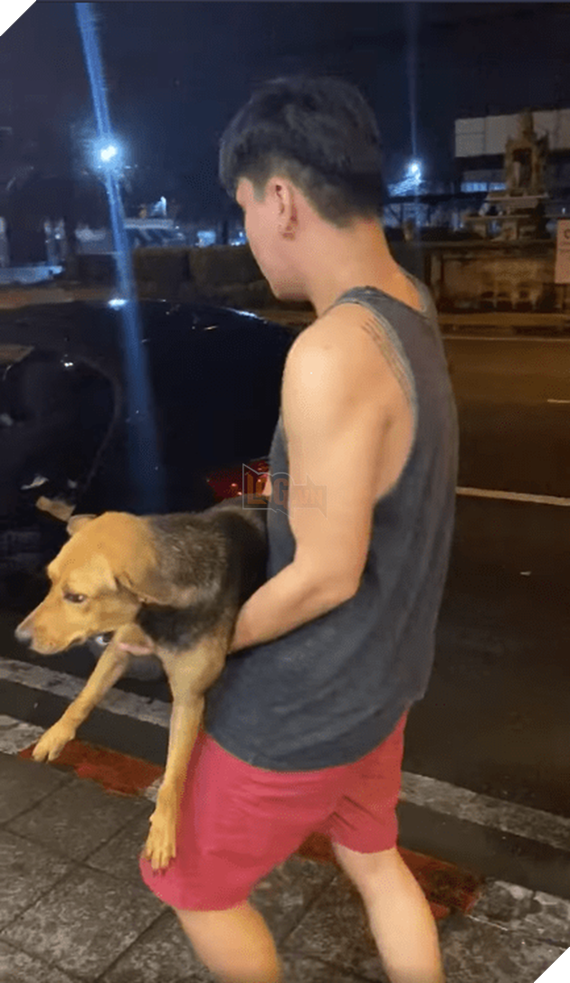 Được thanh niên say xỉn bế nhầm về nhà và nhận nuôi, chú chó hoang một bước thoát cảnh lang thang trở thành hiện tượng mạng - Ảnh 1.