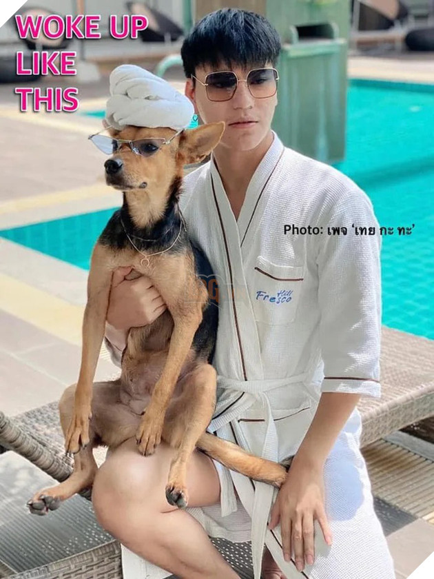 Được thanh niên say xỉn bế nhầm về nhà và nhận nuôi, chú chó hoang một bước thoát cảnh lang thang trở thành hiện tượng mạng - Ảnh 2.