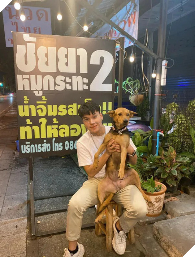 Được thanh niên say xỉn bế nhầm về nhà và nhận nuôi, chú chó hoang một bước thoát cảnh lang thang trở thành hiện tượng mạng - Ảnh 2.