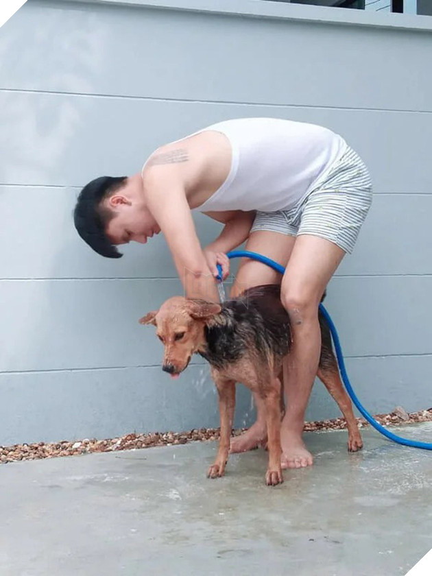 Được thanh niên say xỉn bế nhầm về nhà và nhận nuôi, chú chó hoang một bước thoát cảnh lang thang trở thành hiện tượng mạng - Ảnh 1.