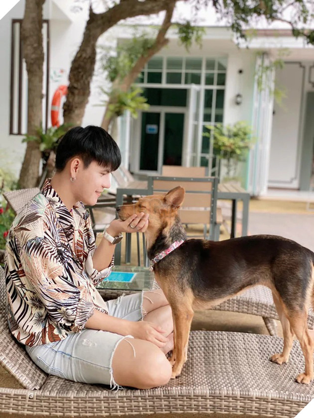 Được thanh niên say xỉn bế nhầm về nhà và nhận nuôi, chú chó hoang một bước thoát cảnh lang thang trở thành hiện tượng mạng - Ảnh 3.