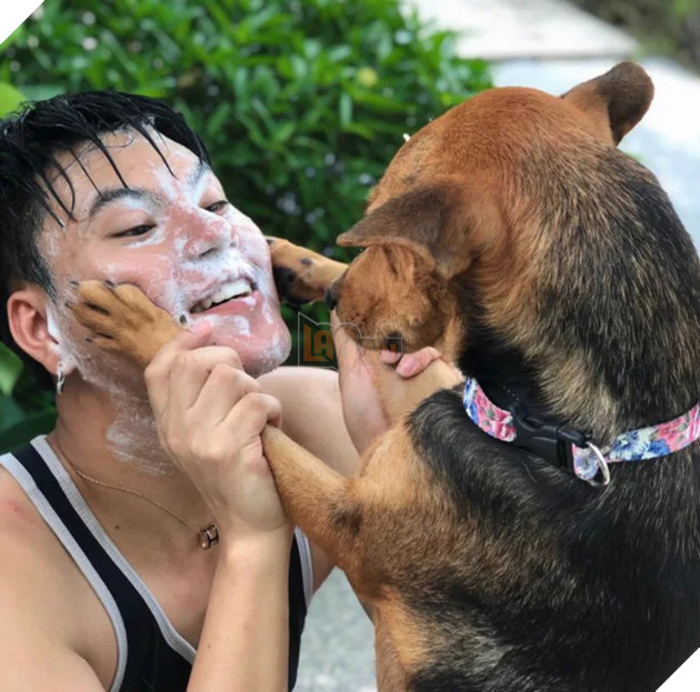 Được thanh niên say xỉn bế nhầm về nhà và nhận nuôi, chú chó hoang một bước thoát cảnh lang thang trở thành hiện tượng mạng - Ảnh 3.