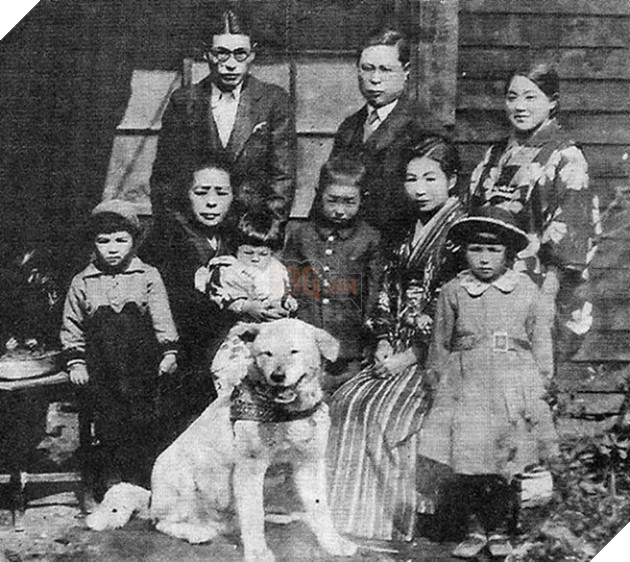 Những bức ảnh hiếm hoi về Hachikō - biểu tượng trung thành của người Nhật khiến người xem cảm tưởng câu chuyện đau lòng ấy đang diễn ra trước mắt - Ảnh 2.