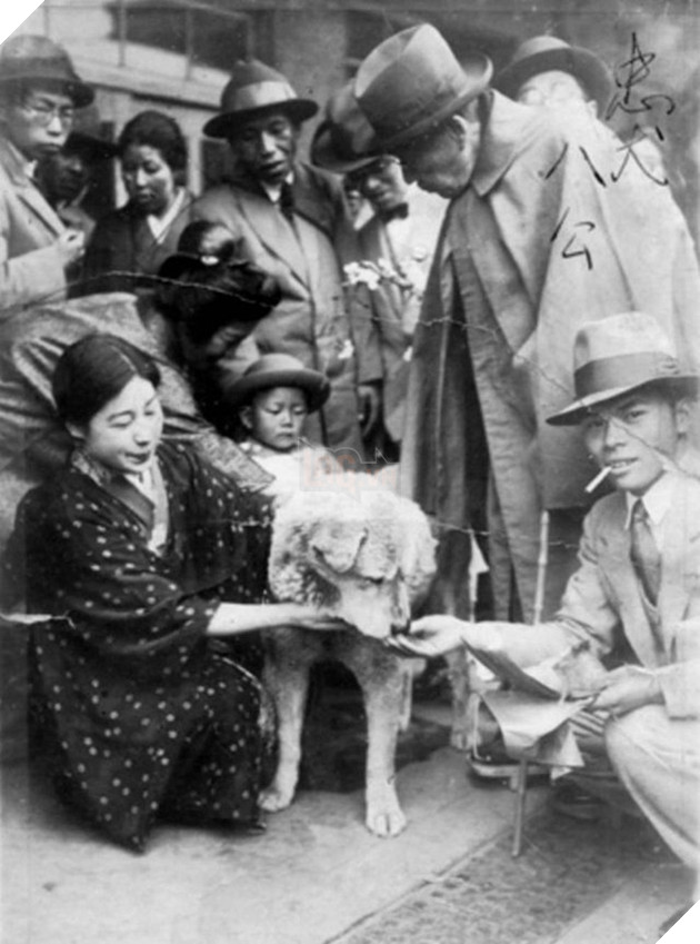 Những bức ảnh hiếm hoi về Hachikō - biểu tượng trung thành của người Nhật khiến người xem cảm tưởng câu chuyện đau lòng ấy đang diễn ra trước mắt - Ảnh 3.