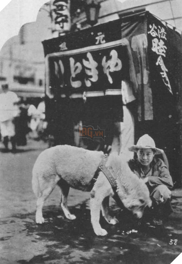 Những bức ảnh hiếm hoi về Hachikō - biểu tượng trung thành của người Nhật khiến người xem cảm tưởng câu chuyện đau lòng ấy đang diễn ra trước mắt - Ảnh 5.