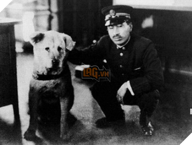 Những bức ảnh hiếm hoi về Hachikō - biểu tượng trung thành của người Nhật khiến người xem cảm tưởng câu chuyện đau lòng ấy đang diễn ra trước mắt - Ảnh 6.