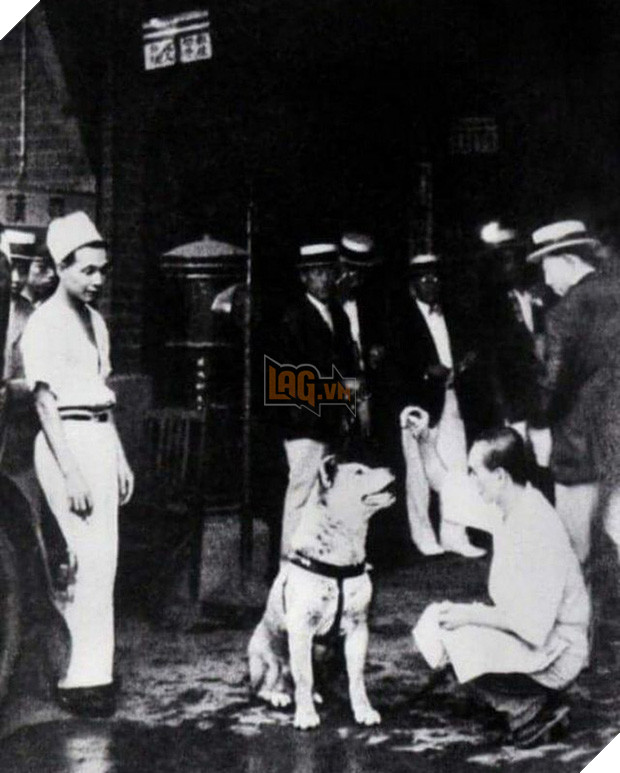 Những bức ảnh hiếm hoi về Hachikō - biểu tượng trung thành của người Nhật khiến người xem cảm tưởng câu chuyện đau lòng ấy đang diễn ra trước mắt - Ảnh 7.