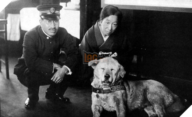 Những bức ảnh hiếm hoi về Hachikō - biểu tượng trung thành của người Nhật khiến người xem cảm tưởng câu chuyện đau lòng ấy đang diễn ra trước mắt - Ảnh 8.