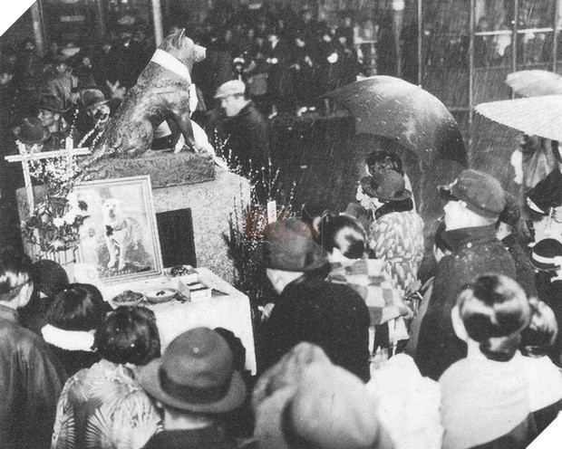Những bức ảnh hiếm hoi về Hachikō - biểu tượng trung thành của người Nhật khiến người xem cảm tưởng câu chuyện đau lòng ấy đang diễn ra trước mắt - Ảnh 9.