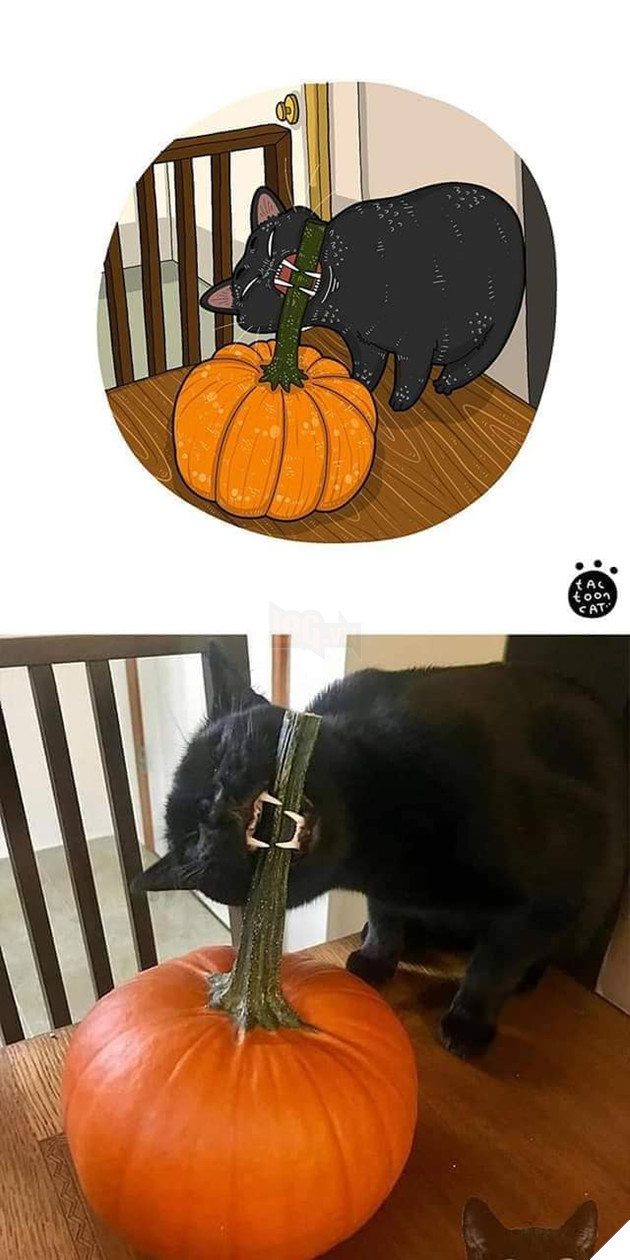 Loạt tranh vẽ cưng xỉu cover lại những khoảnh khắc khó đỡ của các boss 12