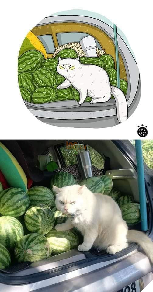 Loạt tranh vẽ cưng xỉu cover lại những khoảnh khắc khó đỡ của các boss 16