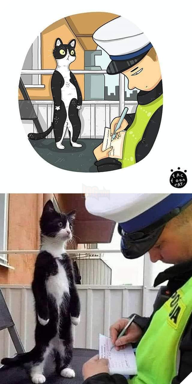 Loạt tranh vẽ cưng xỉu cover lại những khoảnh khắc khó đỡ của các boss 17