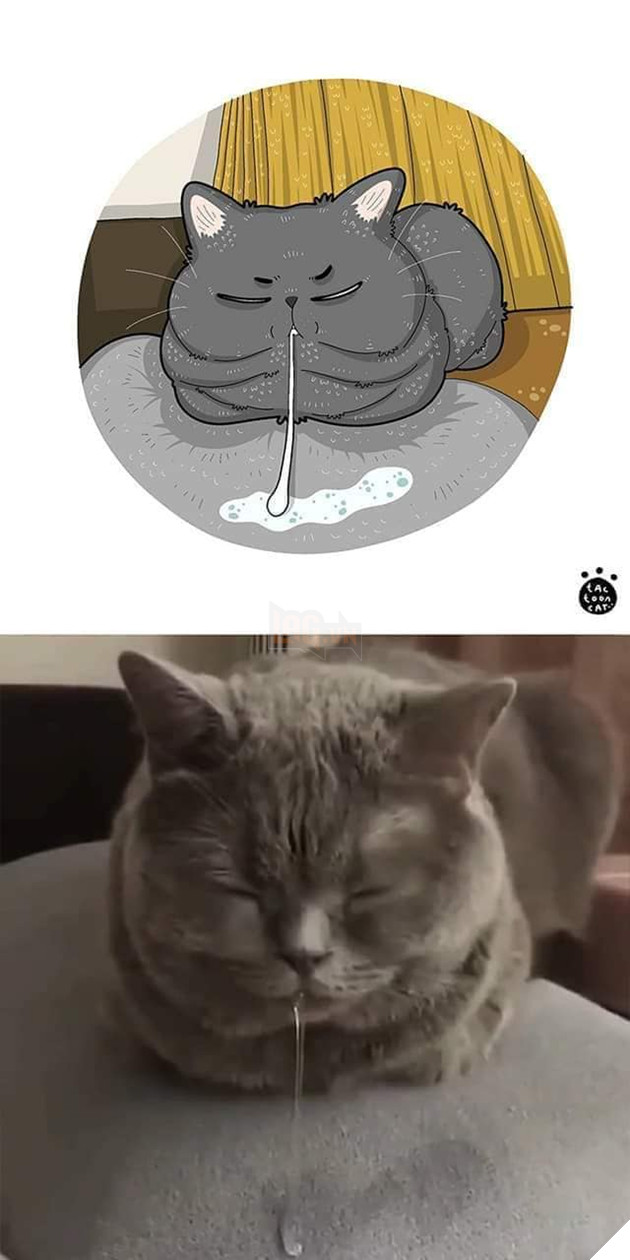 Loạt tranh vẽ cưng xỉu cover lại những khoảnh khắc khó đỡ của các boss 20