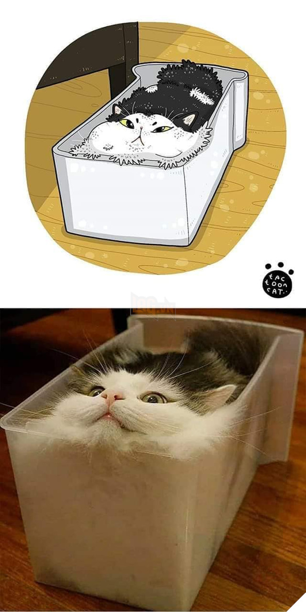 Loạt tranh vẽ cưng xỉu cover lại những khoảnh khắc khó đỡ của các boss 23