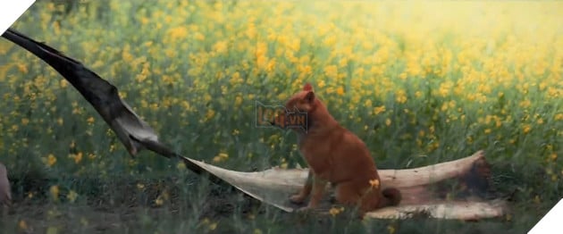  
Chú chó được đánh giá cao về "diễn xuất". (Ảnh cắt từ clip)