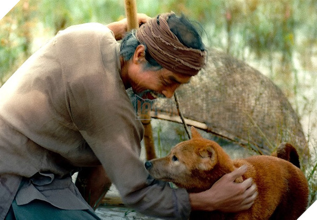  
Chú chó Shiba xuất hiện với vai diễn Cậu Vàng. (Ảnh cắt từ clip)