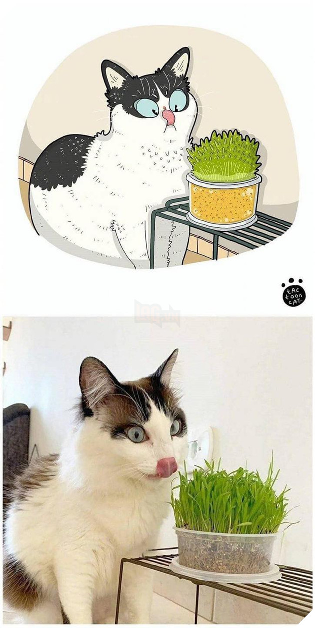 Loạt tranh vẽ cưng xỉu cover lại những khoảnh khắc khó đỡ của các boss P2  11