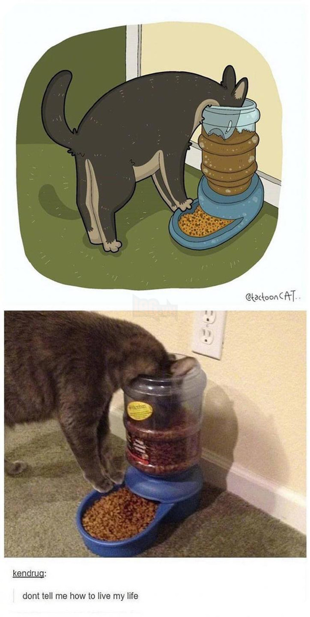 Loạt tranh vẽ cưng xỉu cover lại những khoảnh khắc khó đỡ của các boss P2  13