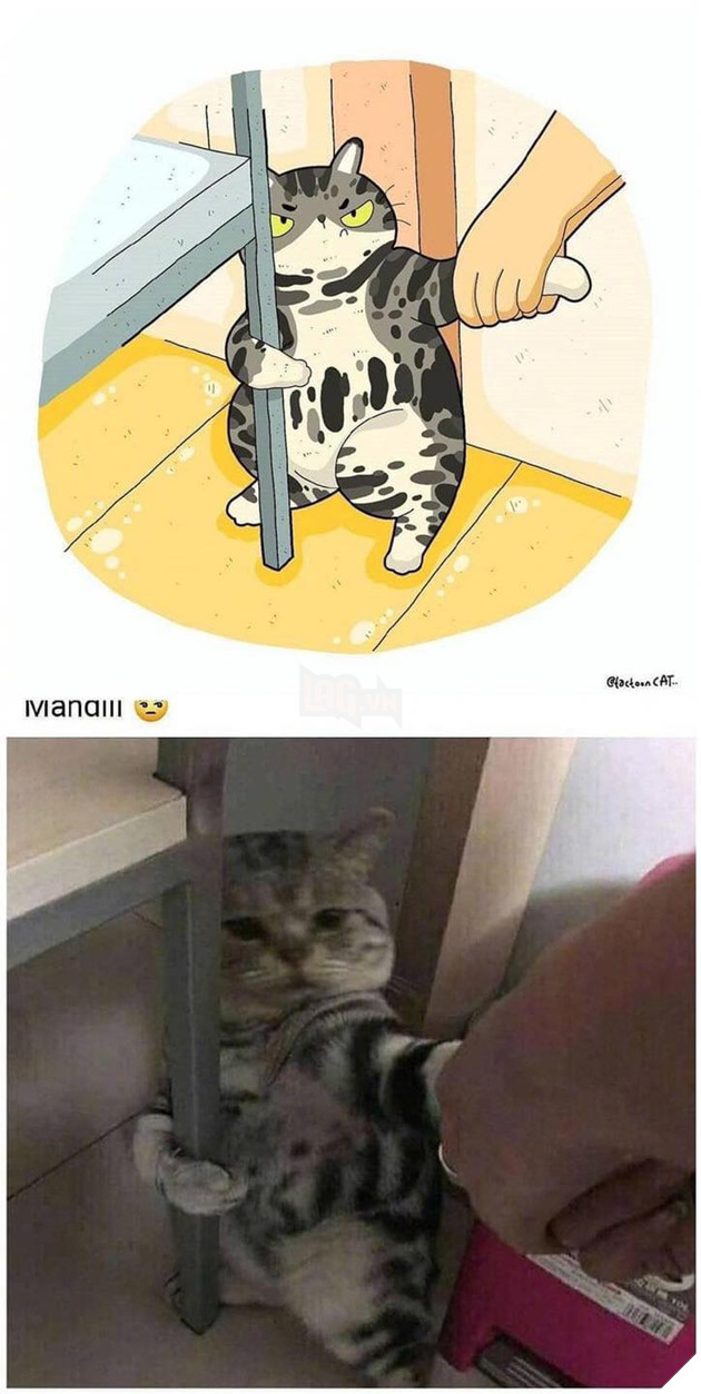 Loạt tranh vẽ cưng xỉu cover lại những khoảnh khắc khó đỡ của các boss P2  14