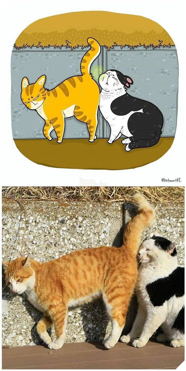 Loạt tranh vẽ cưng xỉu cover lại những khoảnh khắc khó đỡ của các boss P2  15