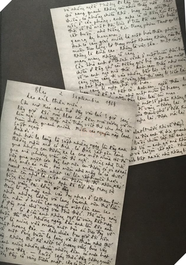 Hé lộ nội dung thư tình cố Nhạc sĩ Trịnh Công Sơn từng gửi người tình Ngô Vũ Dao Ánh 5