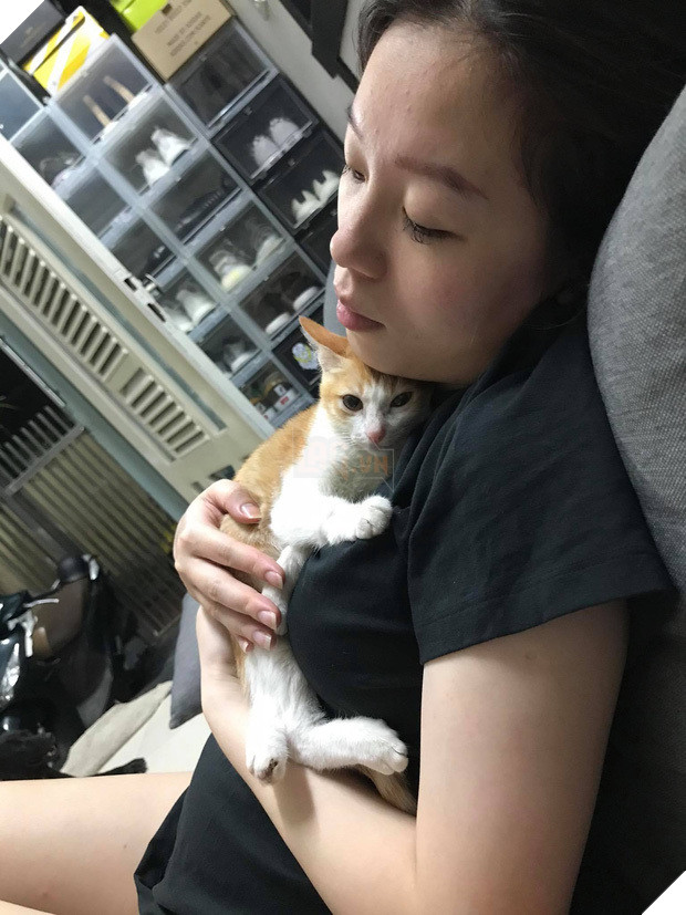 Từng phải ăn sỏi đá, cây dại, cuộc đời chú mèo đóng thế sang trang khi được nhặt về bởi ông nội 5