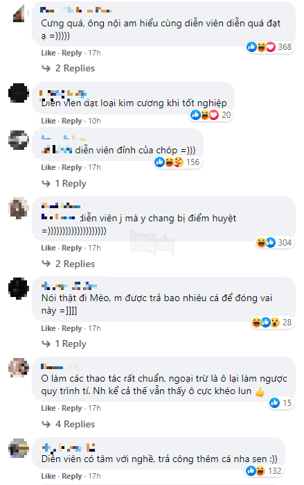 Từng phải ăn sỏi đá, cây dại, cuộc đời chú mèo đóng thế sang trang khi được nhặt về bởi ông nội 4