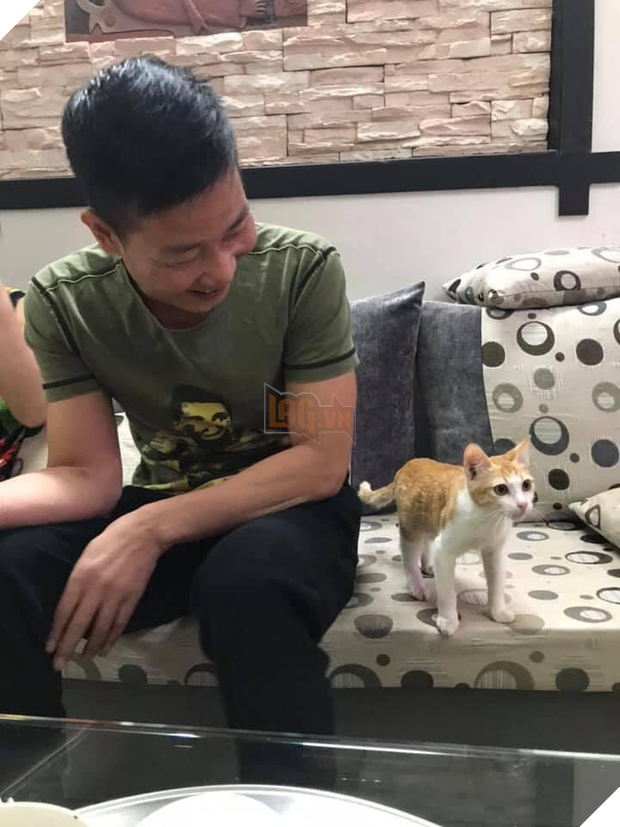 Từng phải ăn sỏi đá, cây dại, cuộc đời chú mèo đóng thế sang trang khi được nhặt về bởi ông nội 3