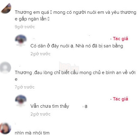 
Một số bình luận của dân mạng. (Ảnh: Chụp màn hình)