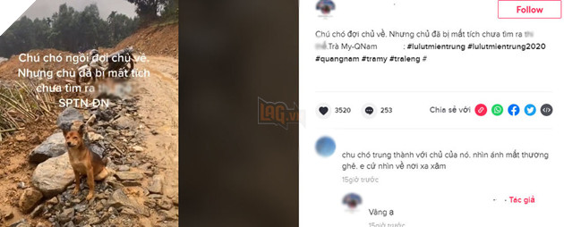 
Bài viết nhận được sự quan tâm của nhiều người. (Ảnh: Chụp màn hình)