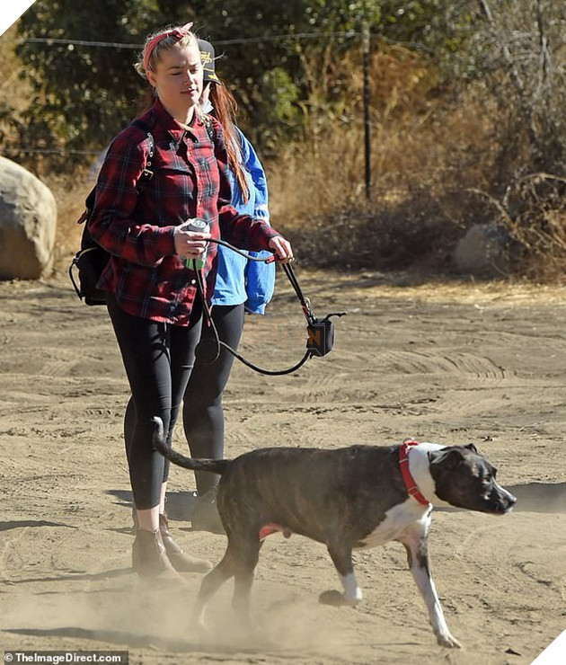 Sau tuyên bố đối đầu khán giả, Amber Heard vẫn xuất hiện tràn đầy năng lượng
