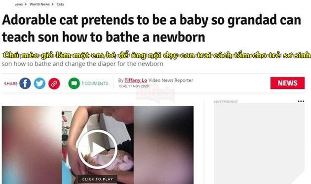  
Nhiều lời khen mà giới săn tin dành cho "diễn viên mèo" nhập vai em bé. (Ảnh: Chụp màn hình)